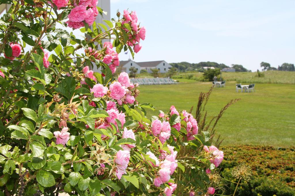 The Seaside Inn 케네벙크 외부 사진